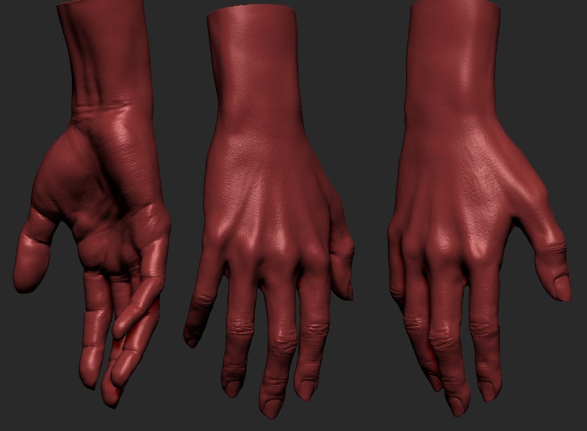 Female Hand 3D model_2