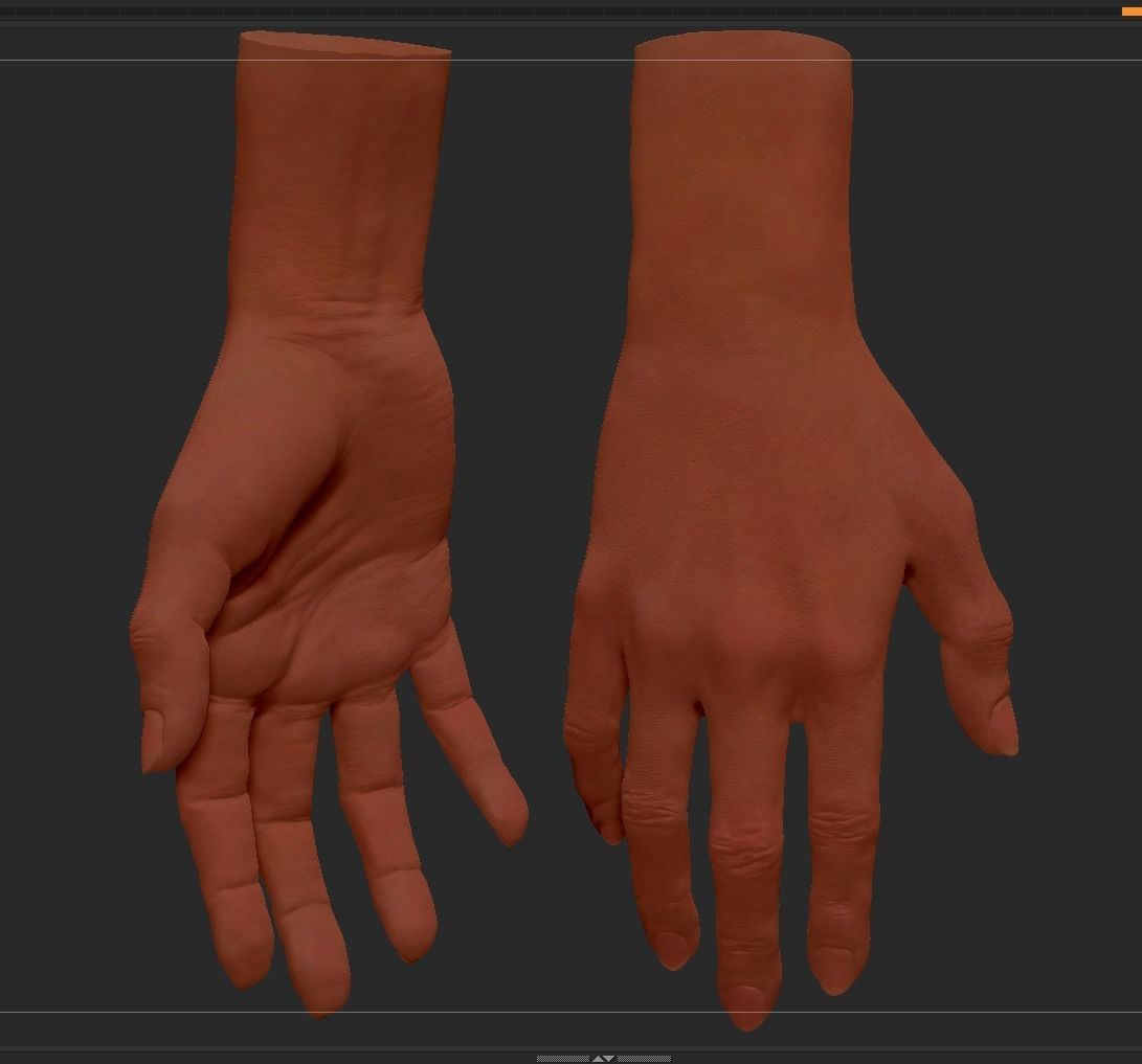 Female Hand 3D model_5