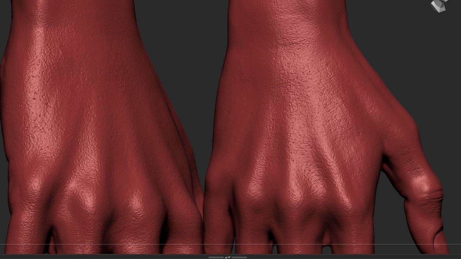 Female Hand 3D model_3