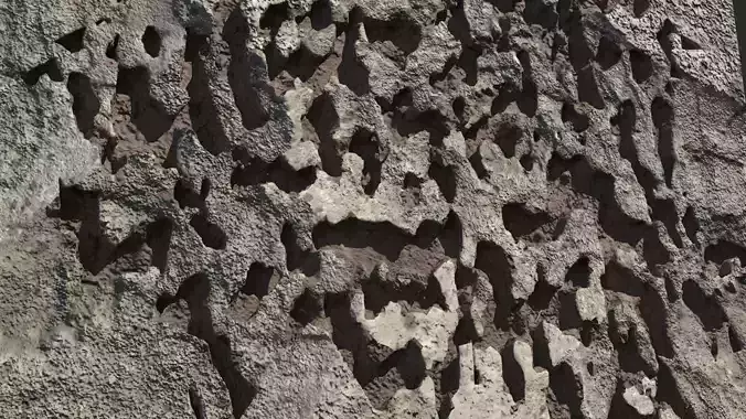 Damaged Walls Collection FREE SAMPLE