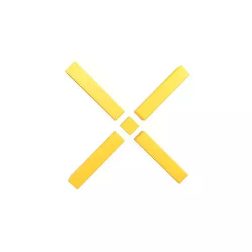 Pundi X Coin v1 001 Low-poly 3D model