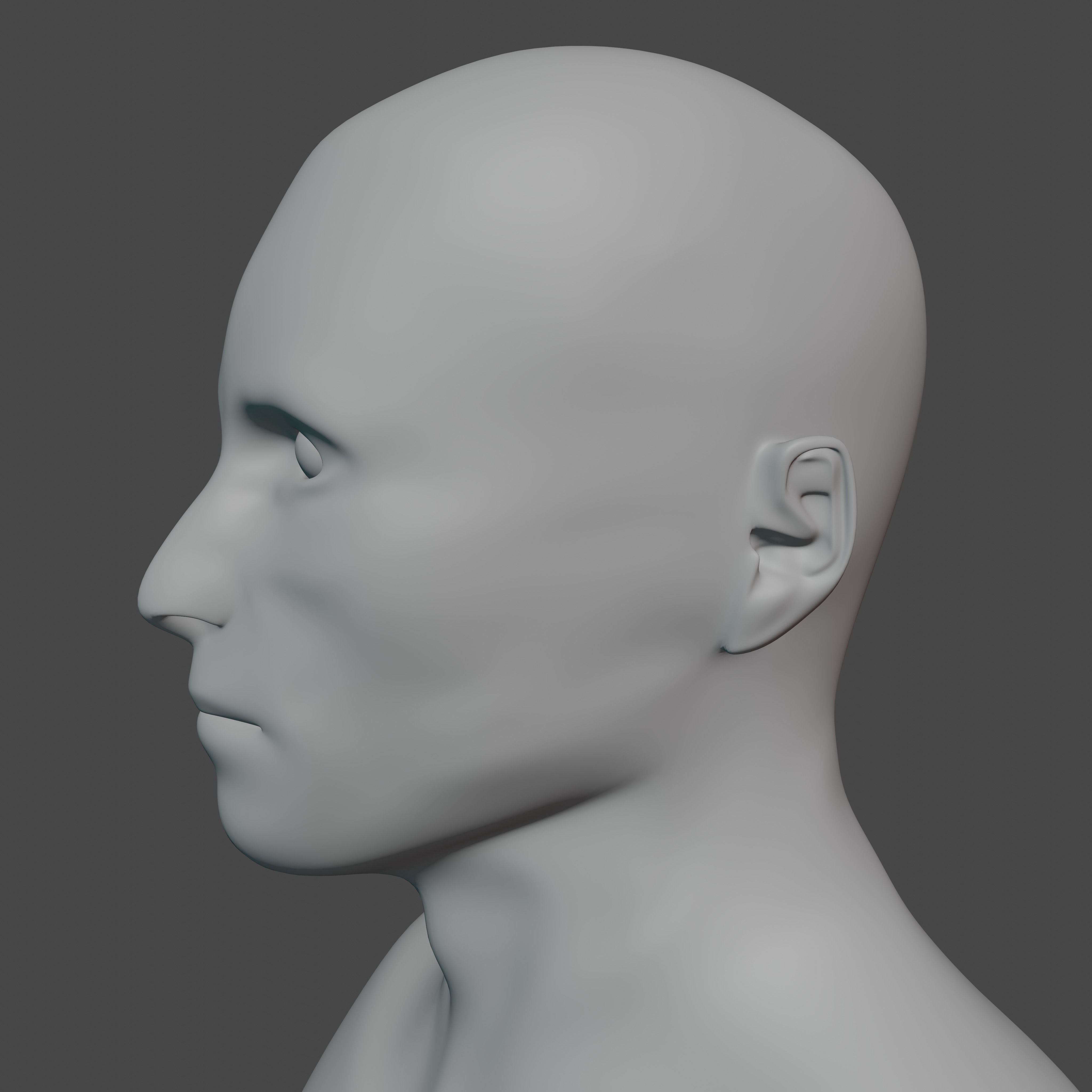 Male Base Mesh 3D model_3
