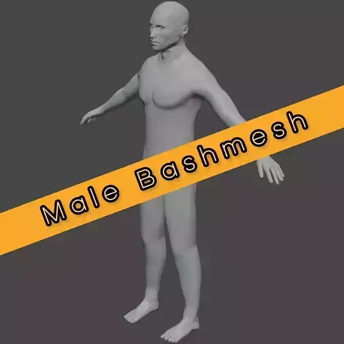 Male Base Mesh