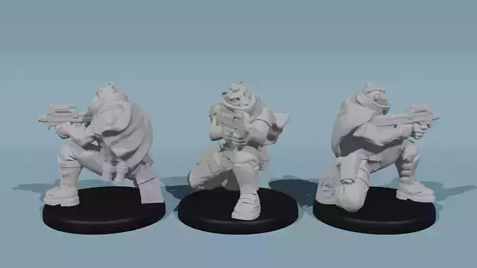 Pahtra Operative 3D print model