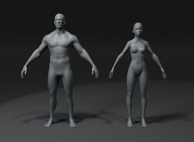 Male and Female Body Base Mesh 3D Model 20k Polygons Low-poly 3D model
