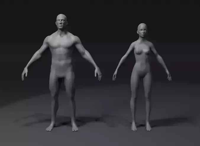 Male and Female Body Base Mesh 3D Model 20k Polygons