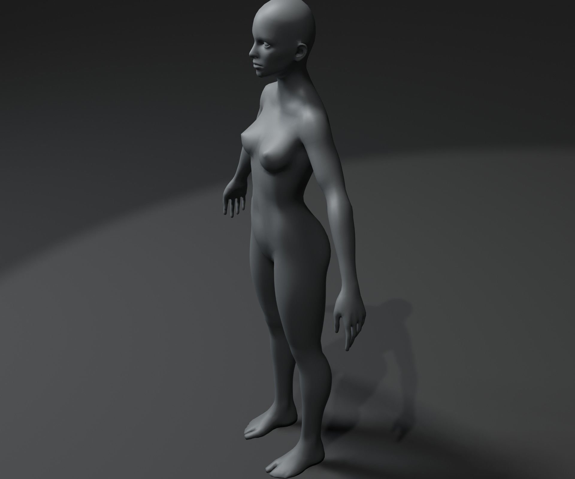 Male and Female Body Base Mesh 3D Model 20k Polygons Low-poly 3D model_36