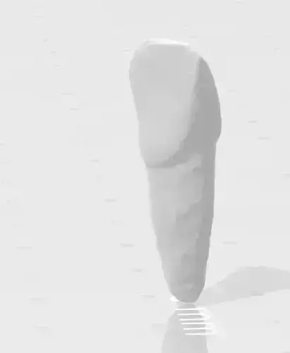 Incisors Tooth