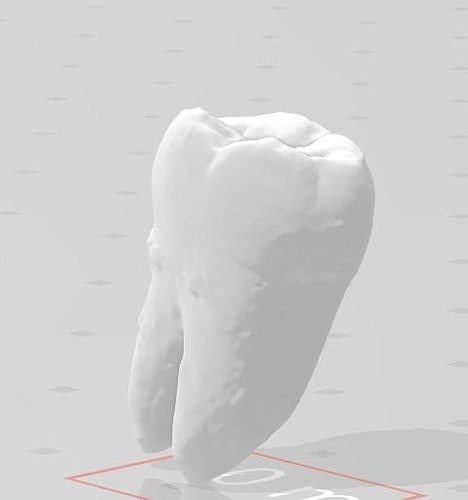 Molar Tooth 3D print model