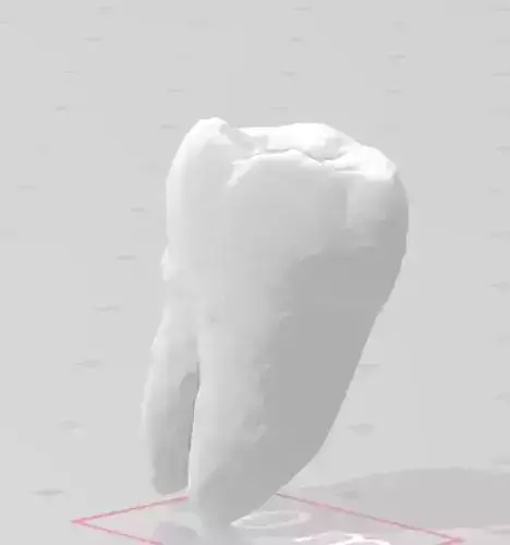 Molar Tooth 3D print model