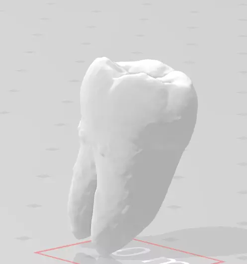 Molar Tooth 3D print model_0