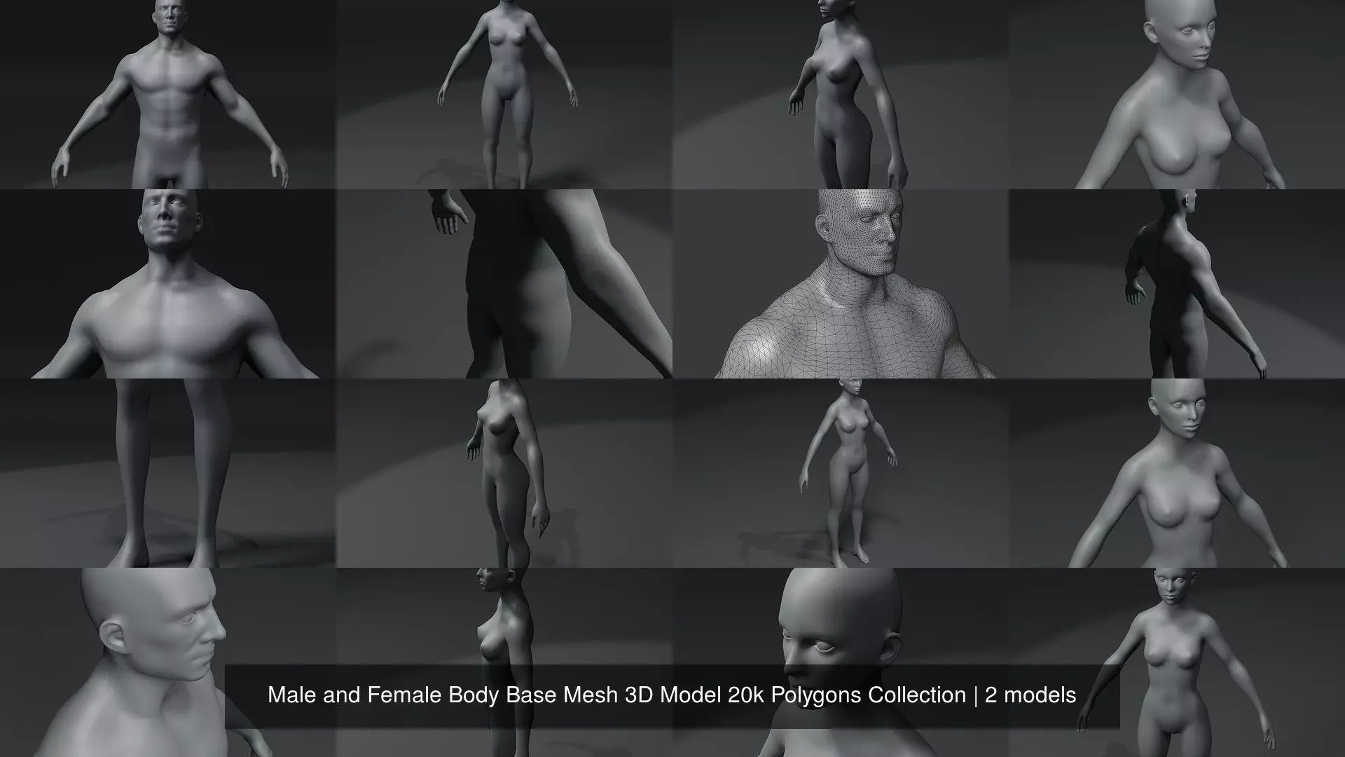 Male and Female Body Base Mesh 3D Model 20k Polygons Collection _3