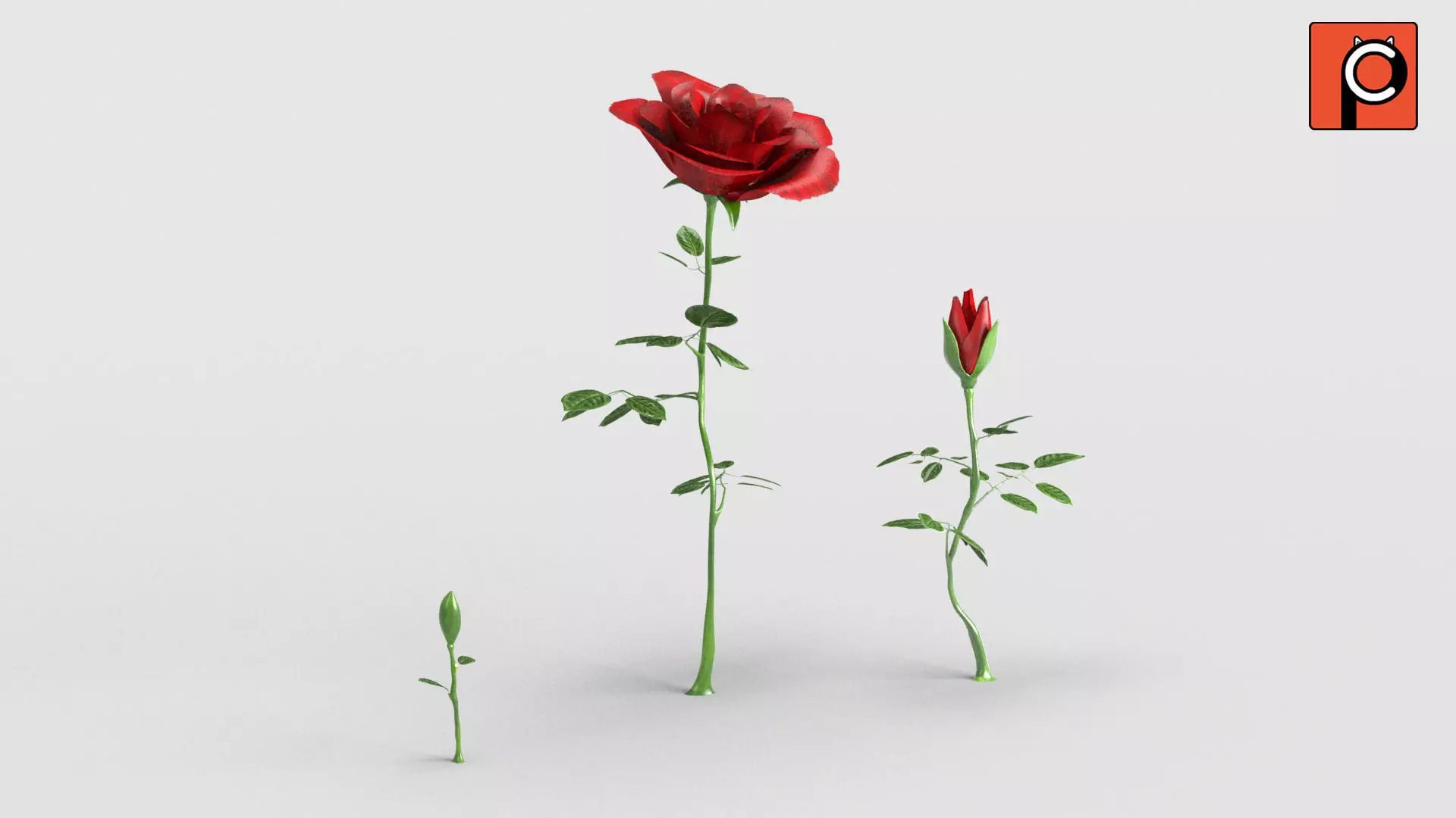 Rose Rigged Animated 3D model_0