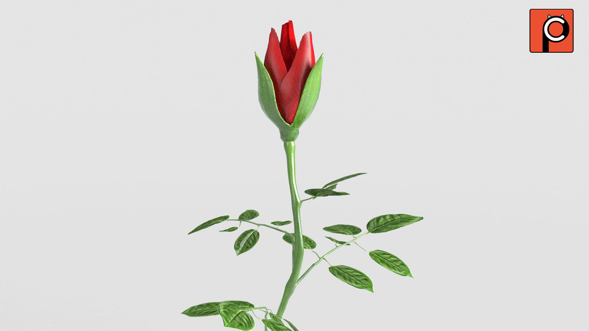 Rose Rigged Animated 3D model_3