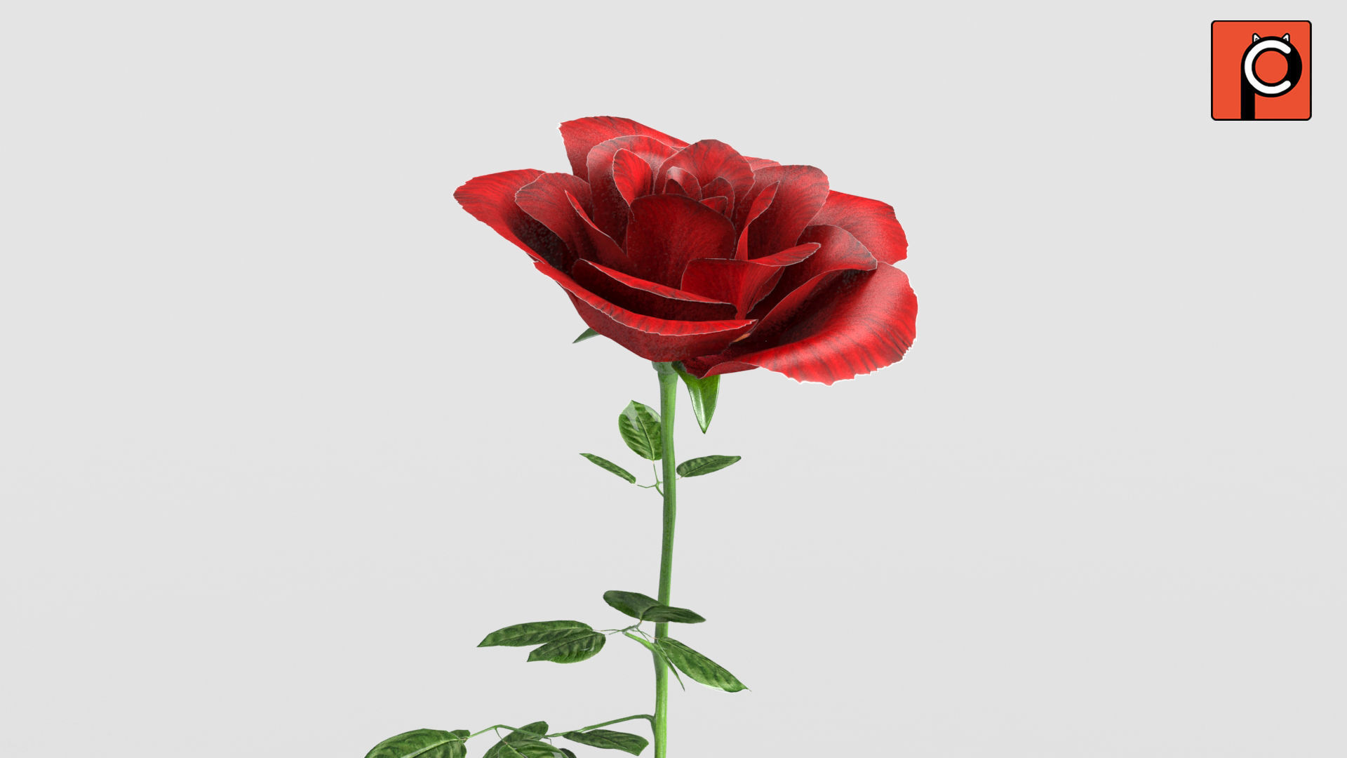 Rose Rigged Animated 3D model_2