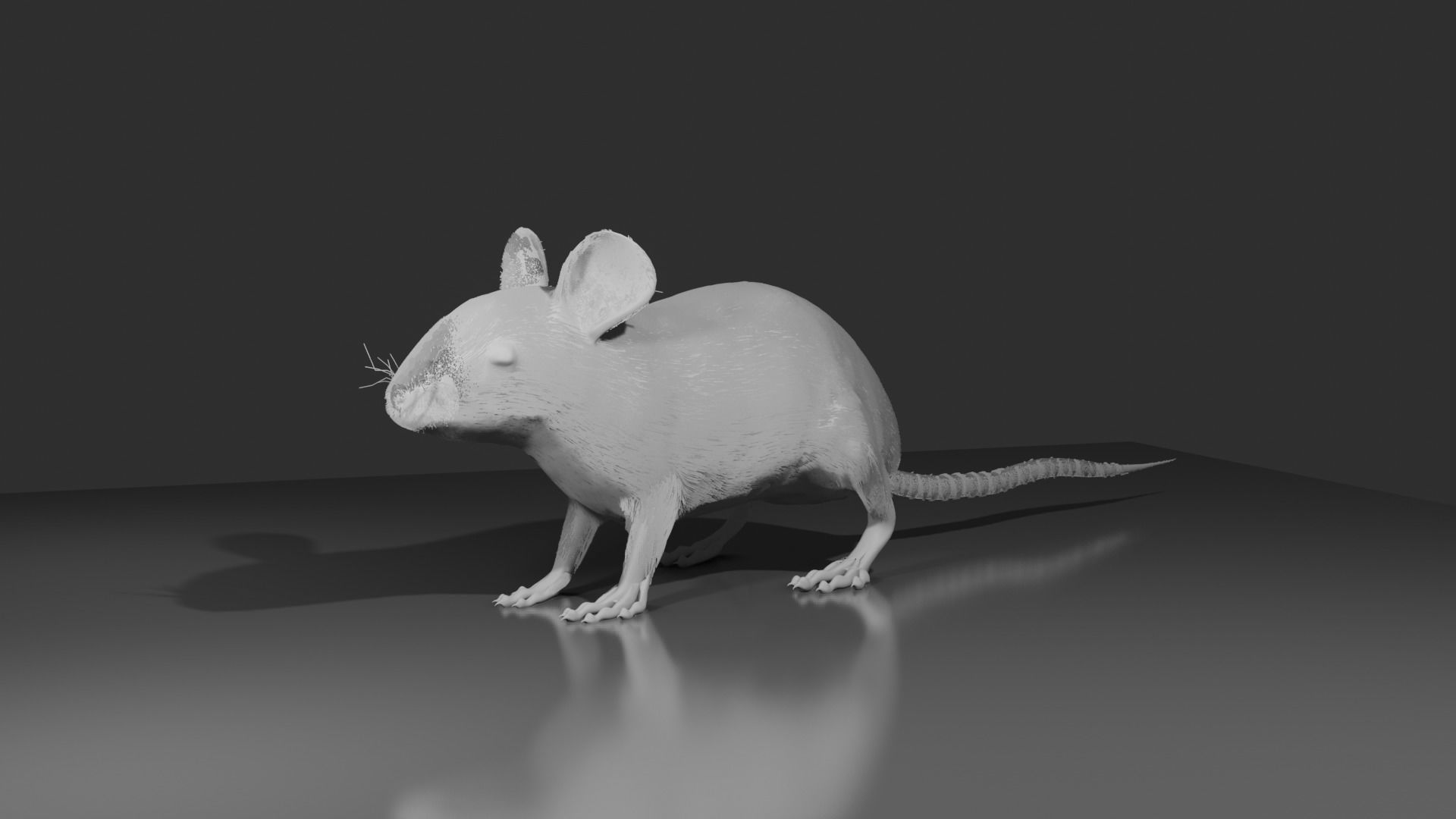 Rat 3d model 3D model_1