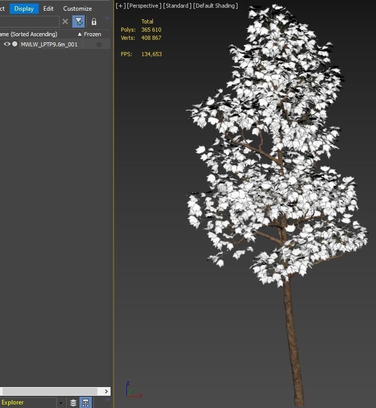 Pollarded London planetree 9m 3D model_4