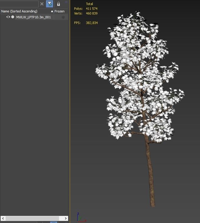 Pollarded London planetree 10m 3D model_4