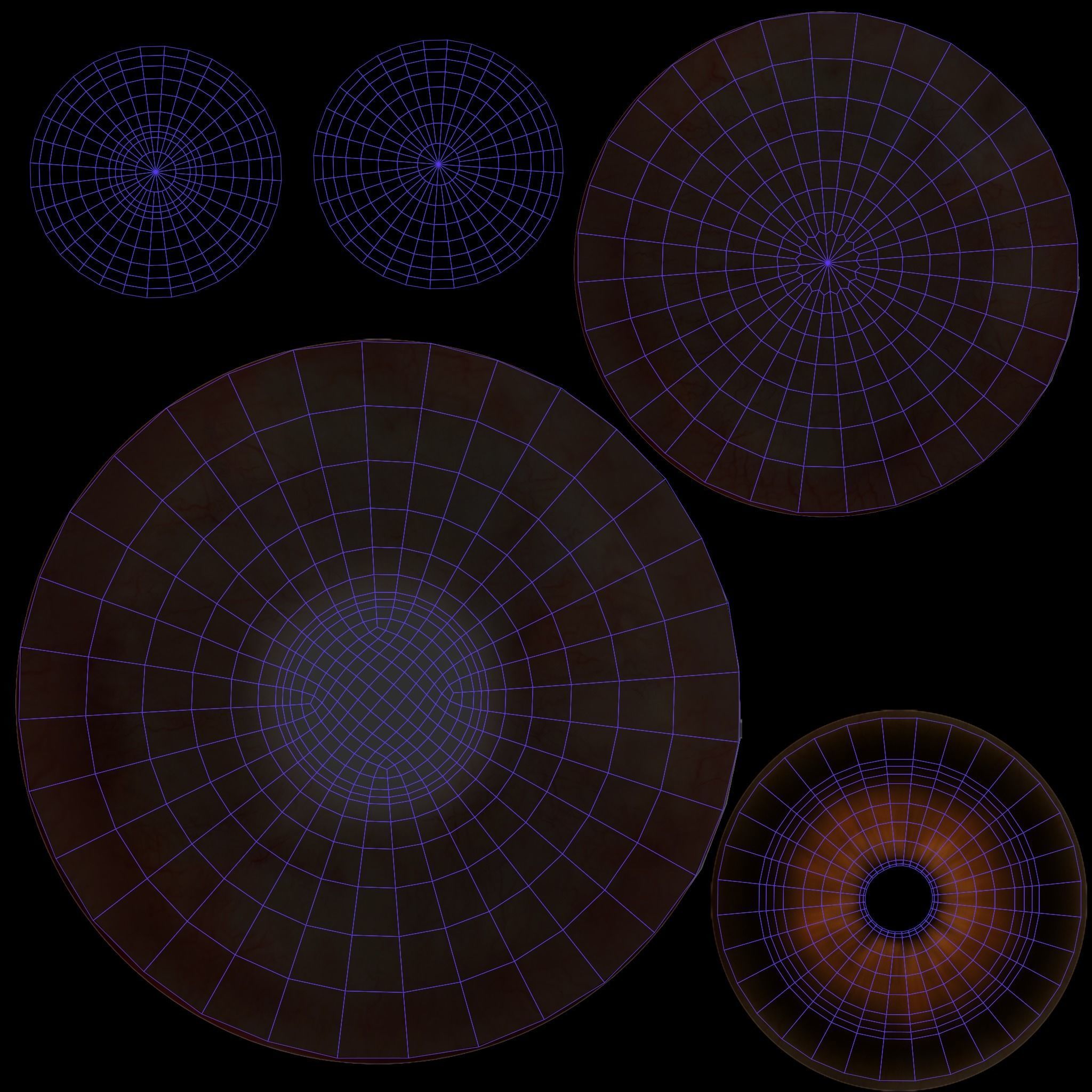 Springbok Animated 3D model_21