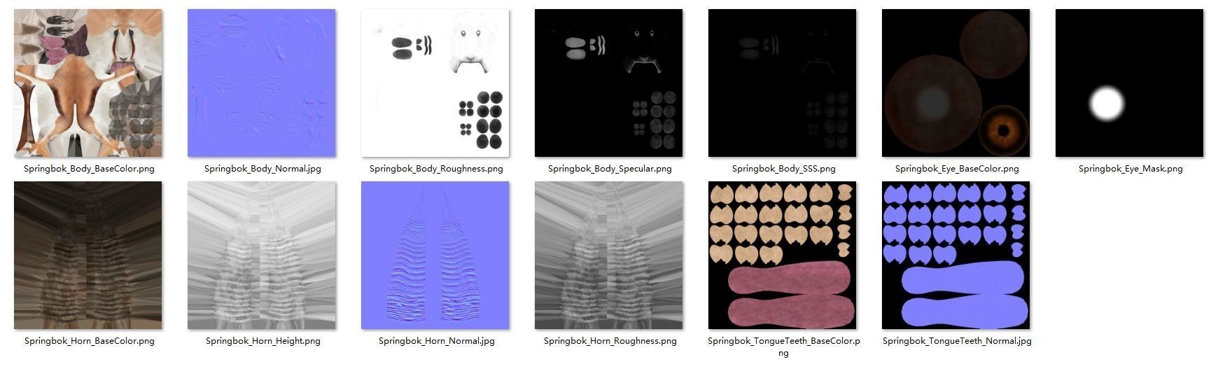 Springbok Animated 3D model_22