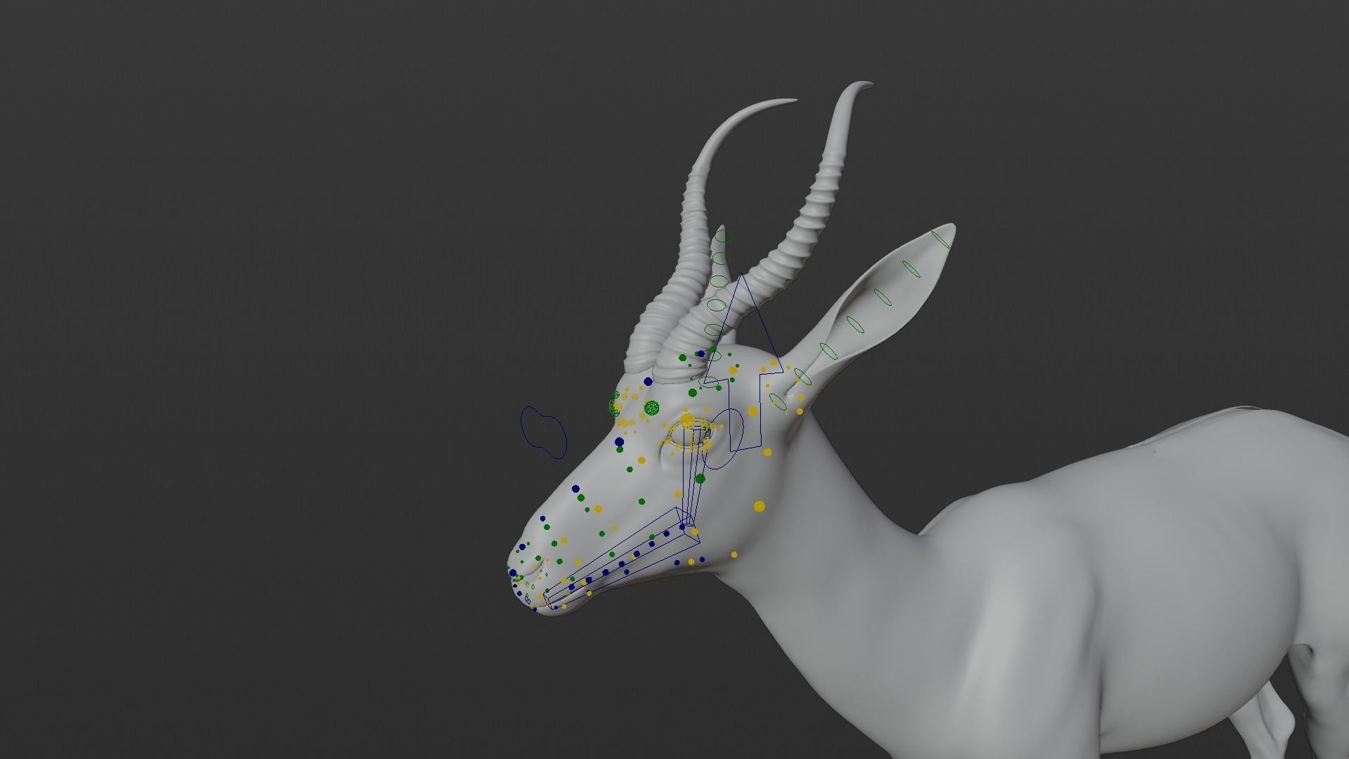 Springbok Animated 3D model_20