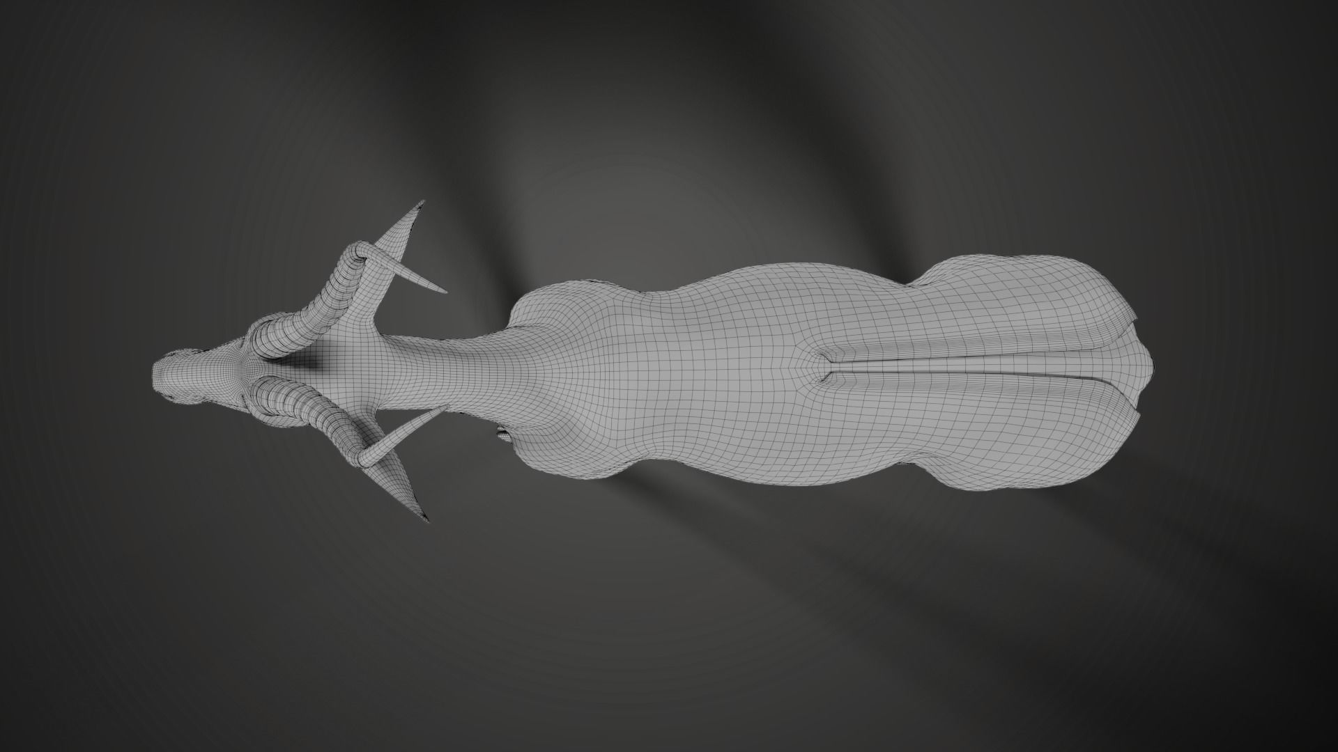 Springbok Animated 3D model_18