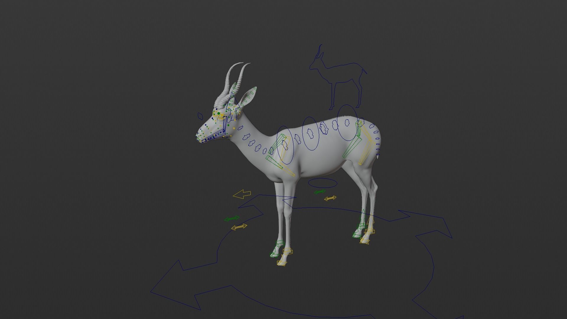 Springbok Animated 3D model_19