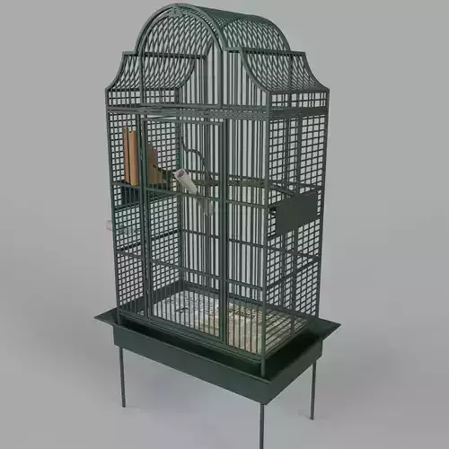 Large Birdcage
