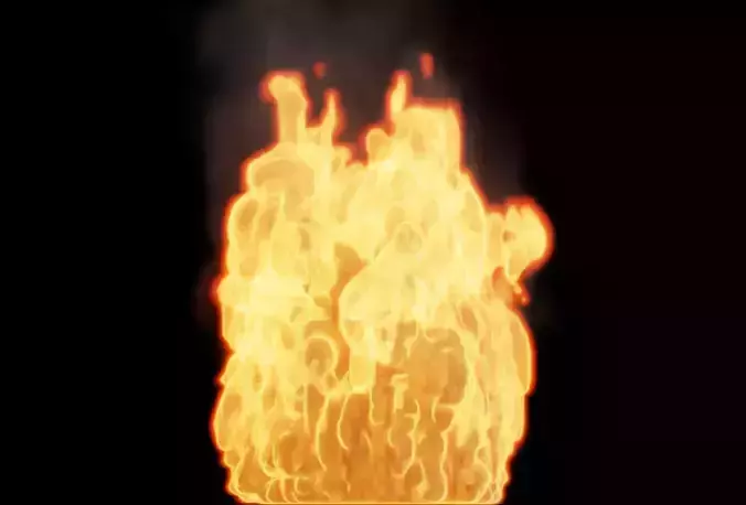 Fire Bonfire Flame 3D model