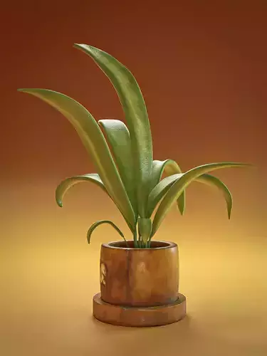 Houseplant - Potted Plant - PBR Textured - Ready to Render