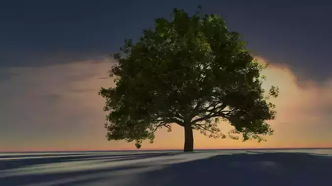 Old Oak Tree 3D
