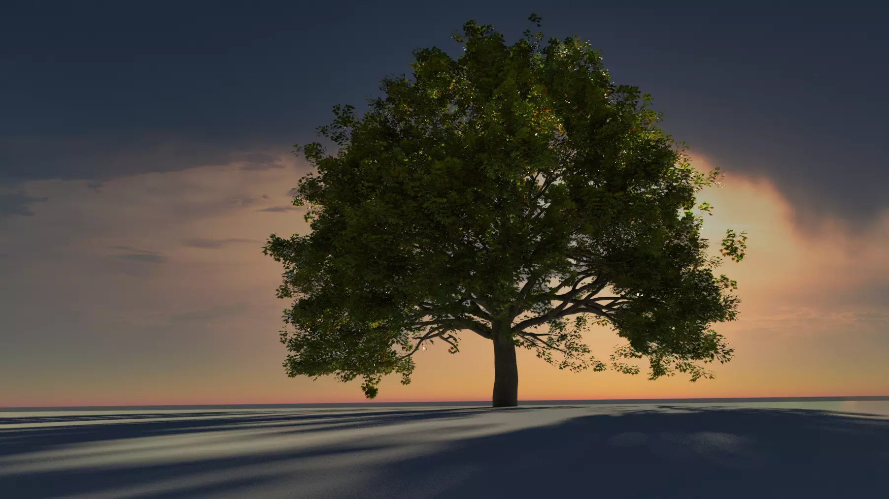 Old Oak Tree 3D 3D model_0