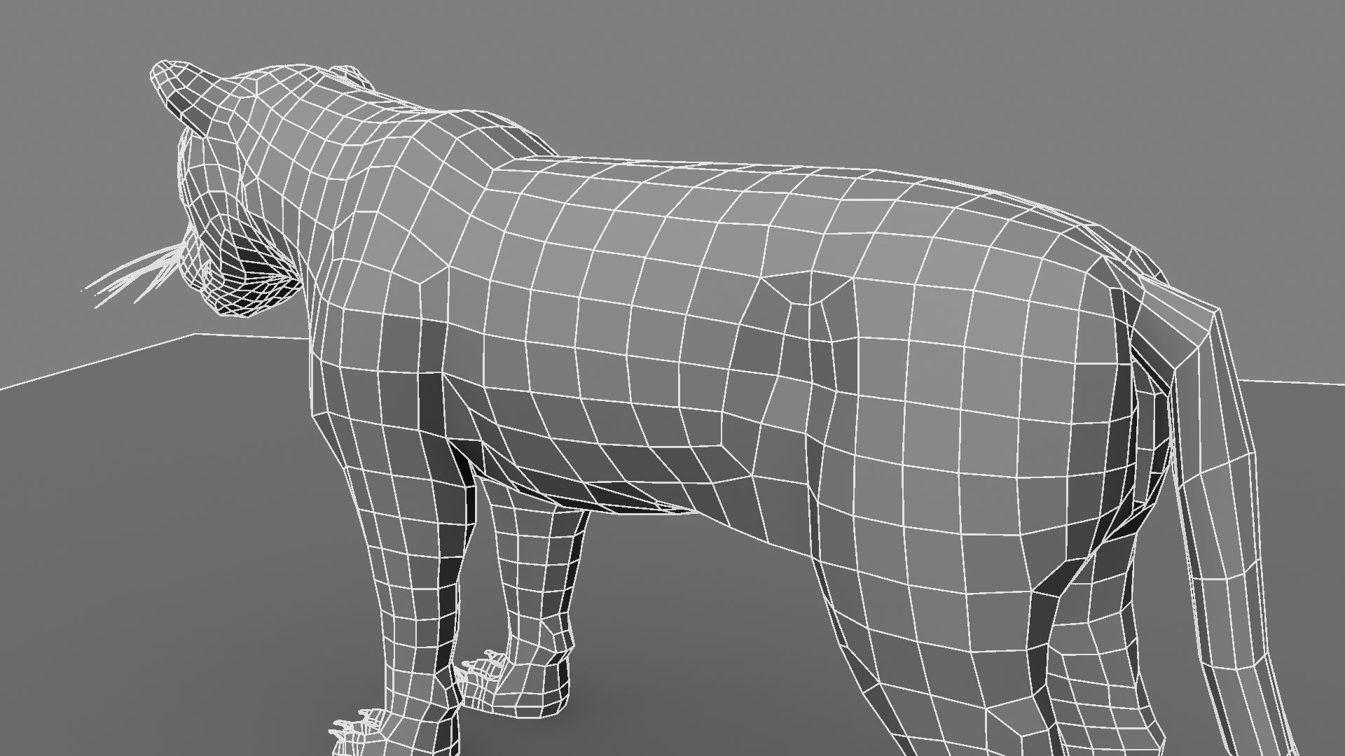 Royel Bengal Tiger 3D model_31