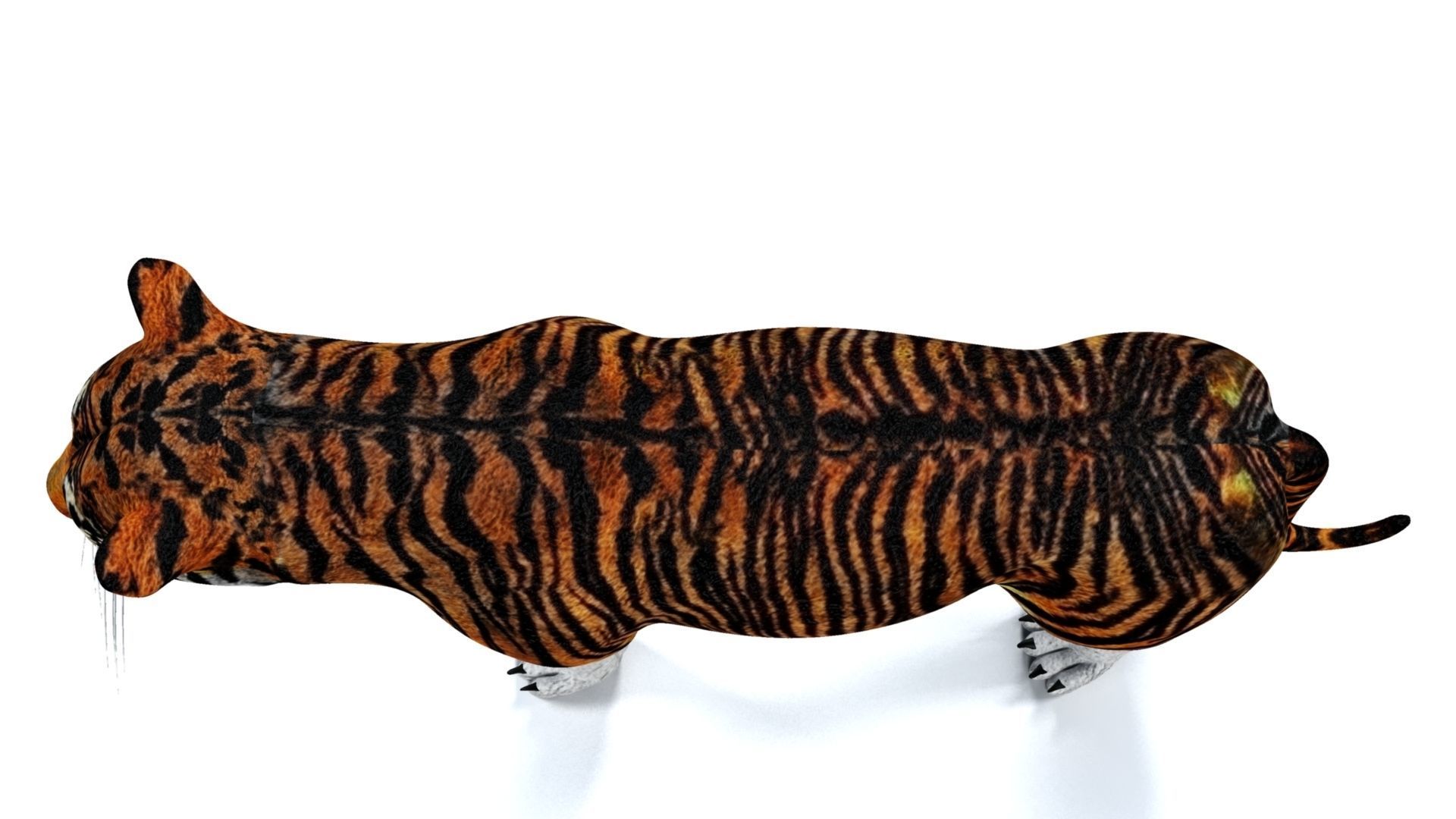 Royel Bengal Tiger 3D model_13