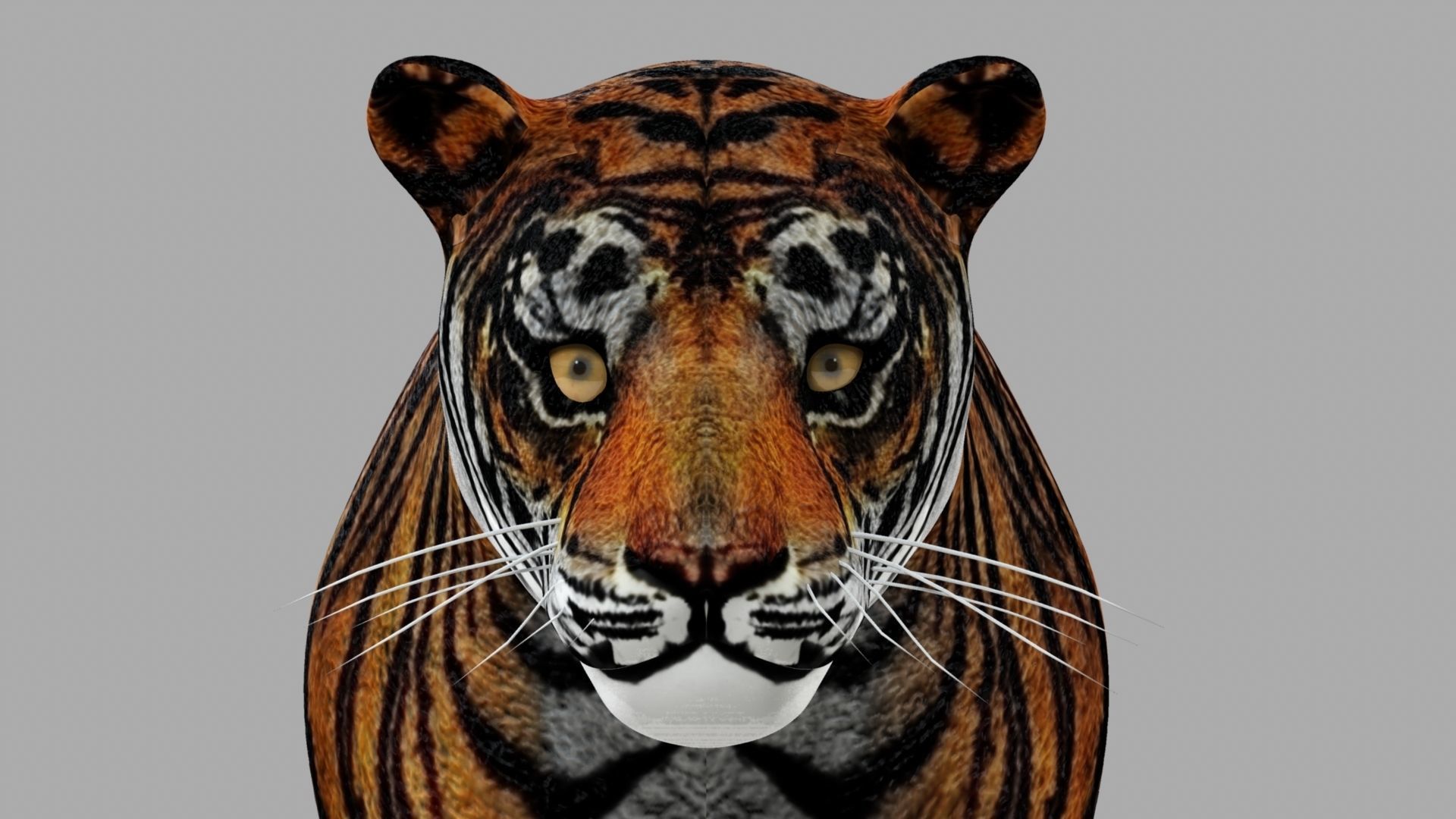 Royel Bengal Tiger 3D model_4