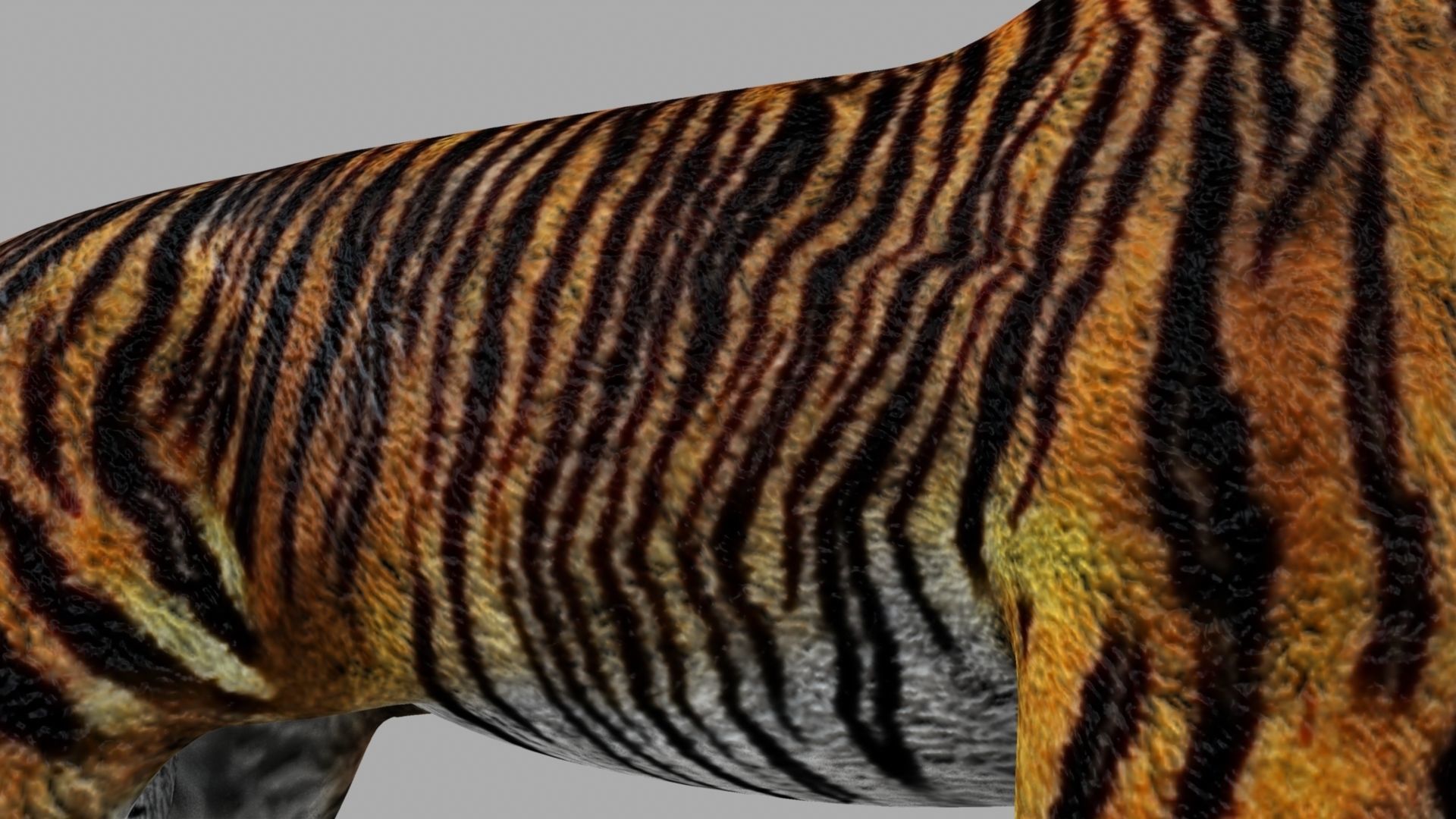 Royel Bengal Tiger 3D model_3