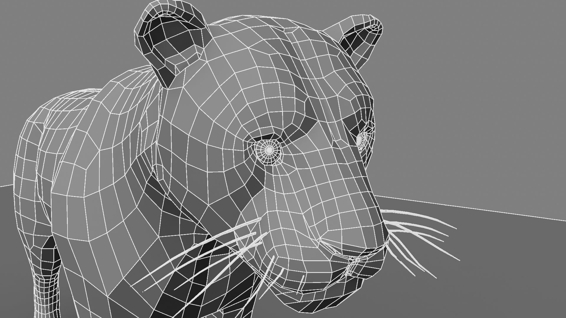 Royel Bengal Tiger 3D model_23