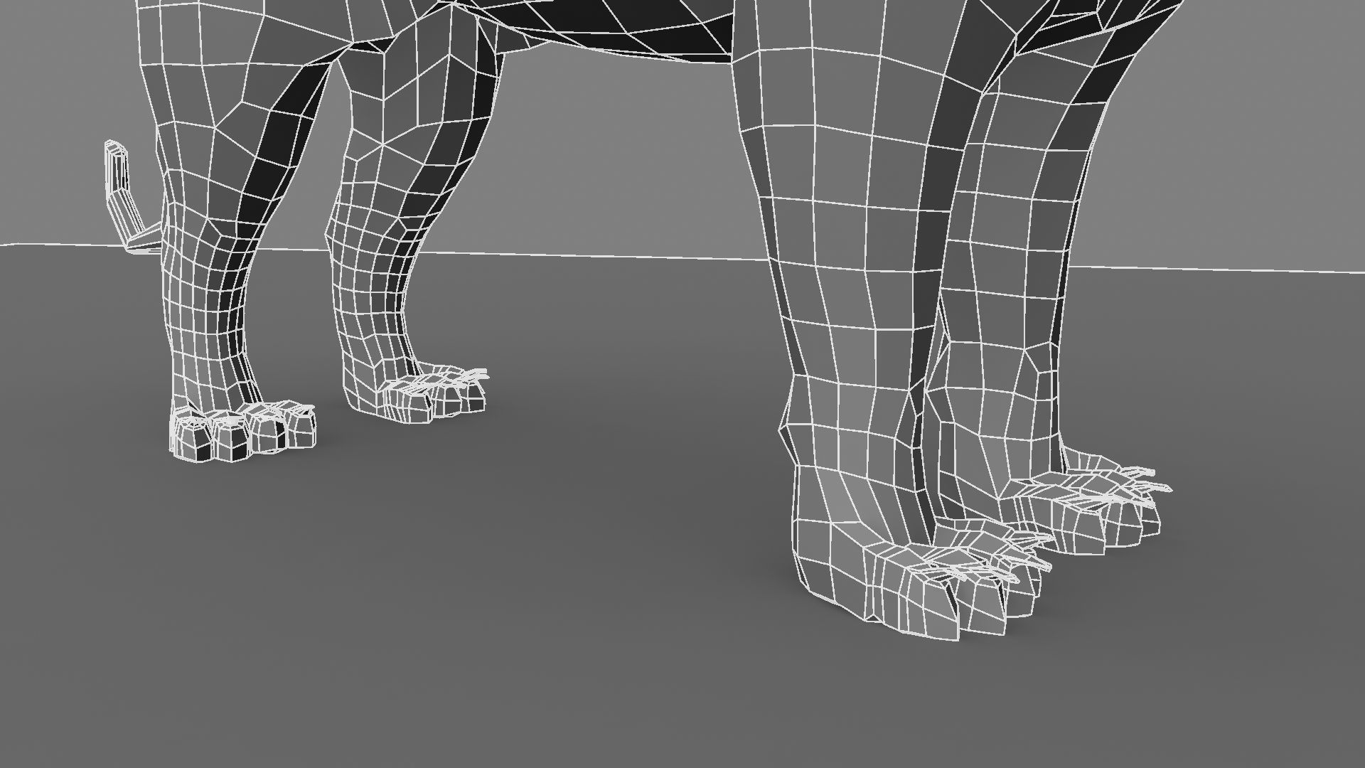 Royel Bengal Tiger 3D model_22