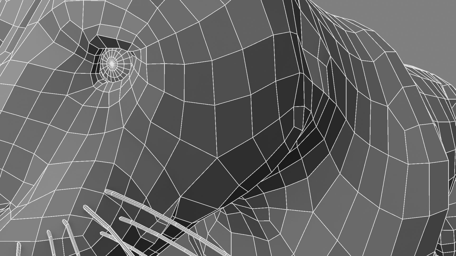 Royel Bengal Tiger 3D model_30