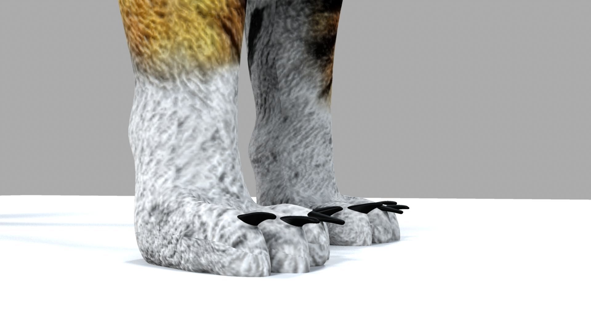 Royel Bengal Tiger 3D model_5