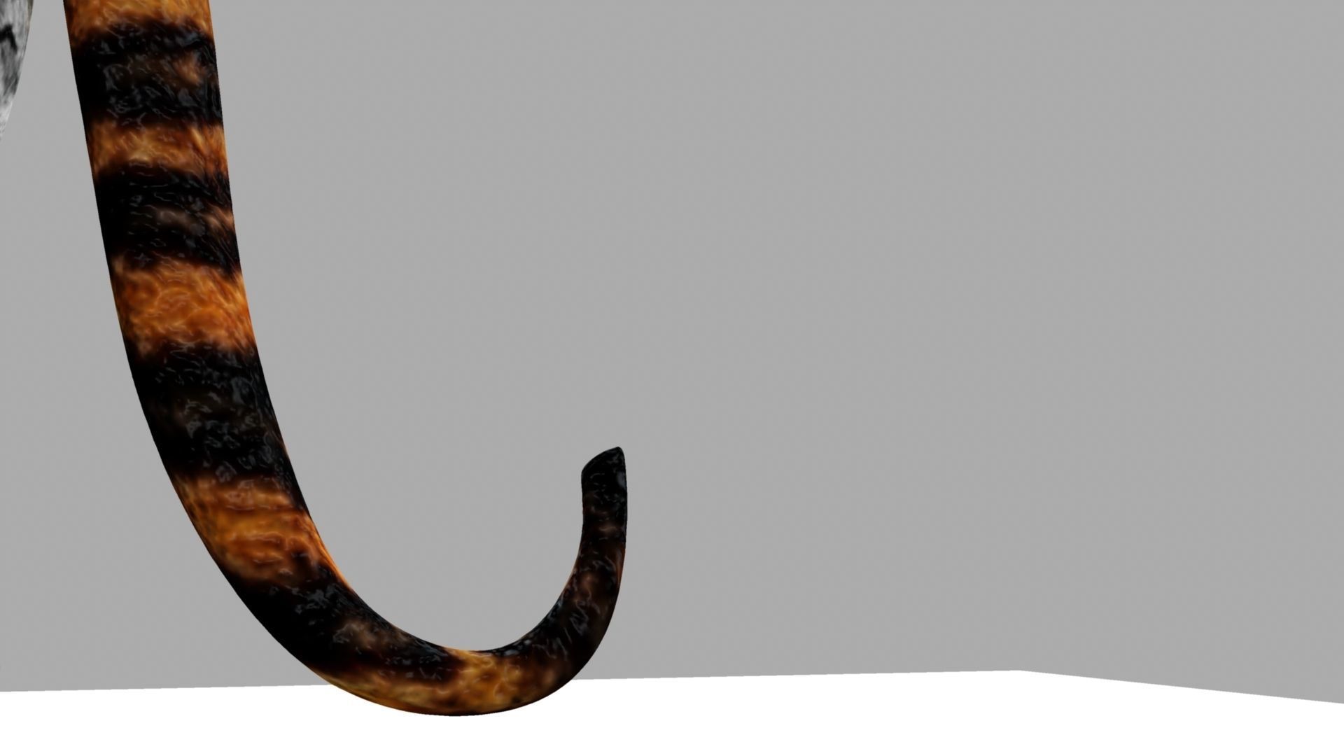 Royel Bengal Tiger 3D model_12