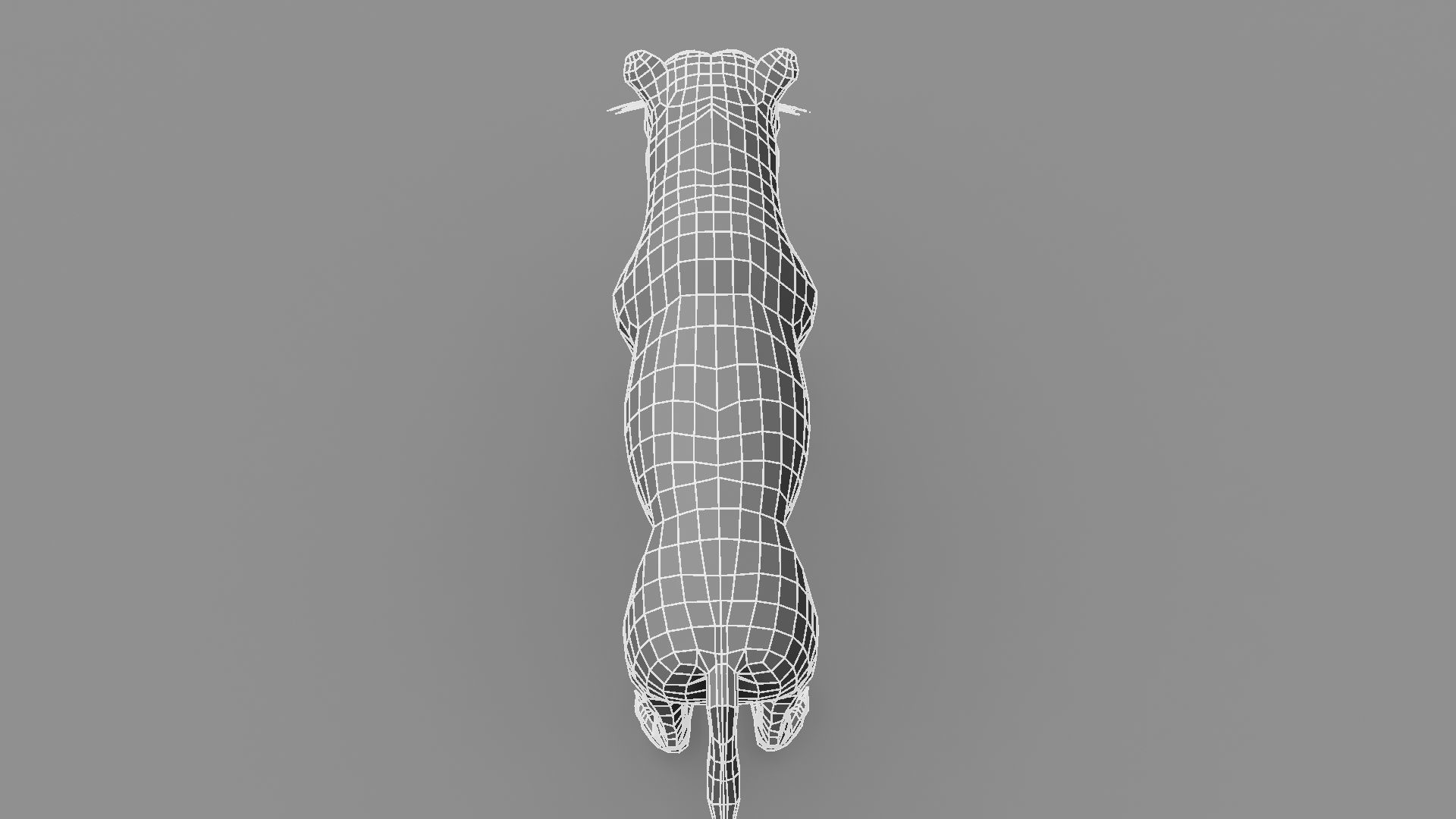 Royel Bengal Tiger 3D model_29