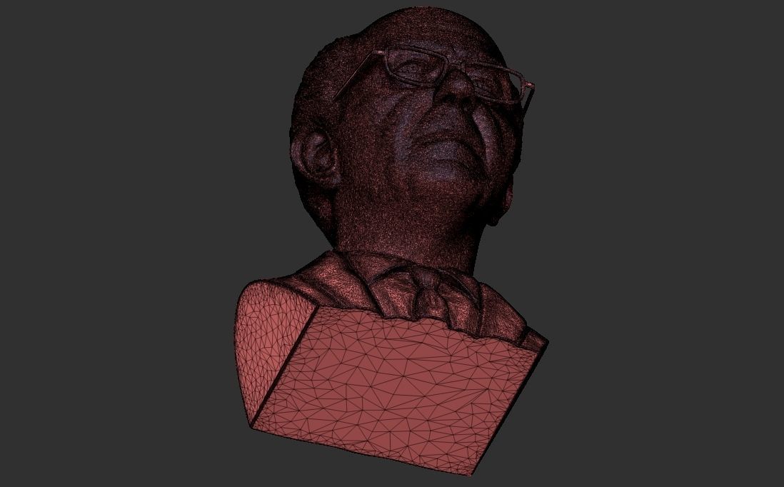 Bernie Sanders bust 3D printing ready stl obj formats 3D print model_32