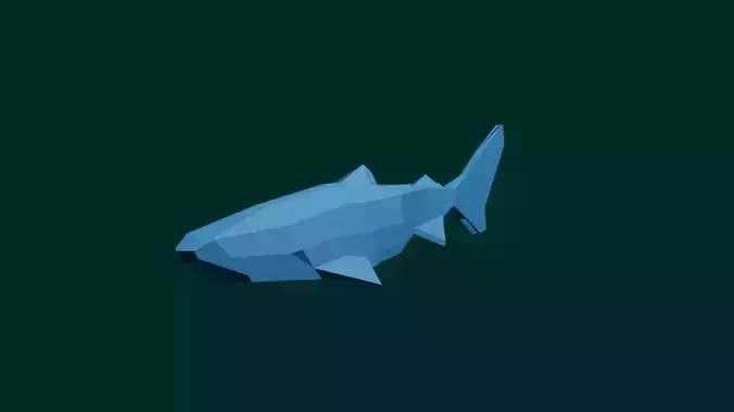 Shark
