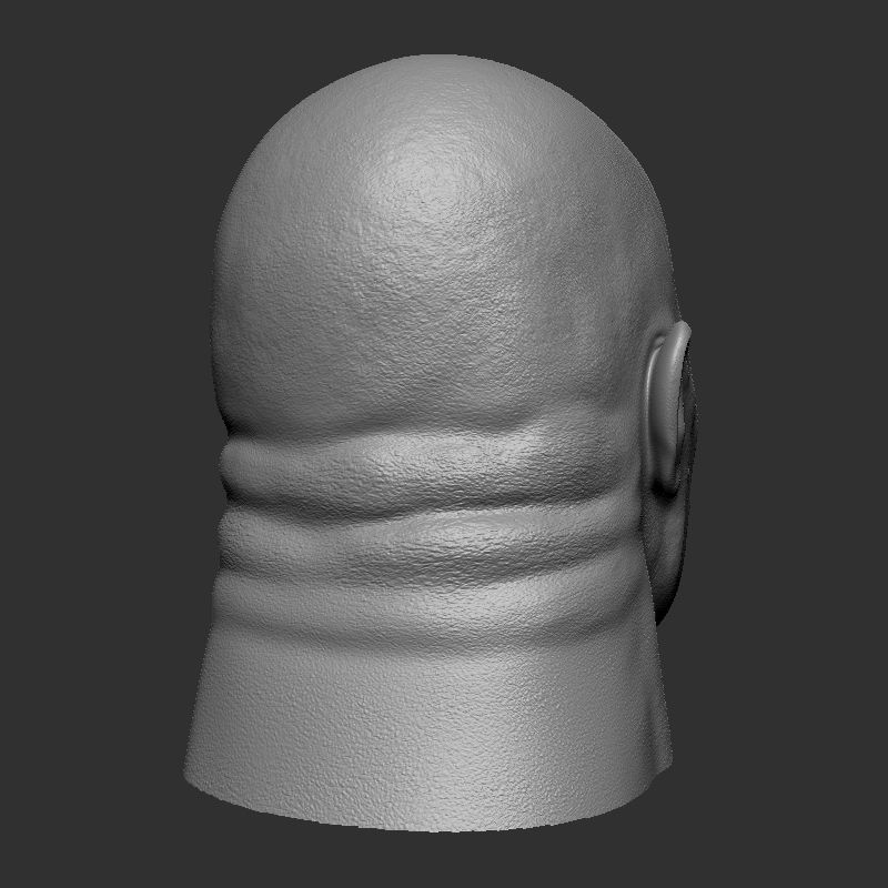 Dwayne johnson 3D print model_7