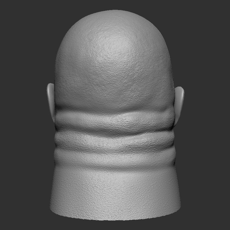 Dwayne johnson 3D print model_8
