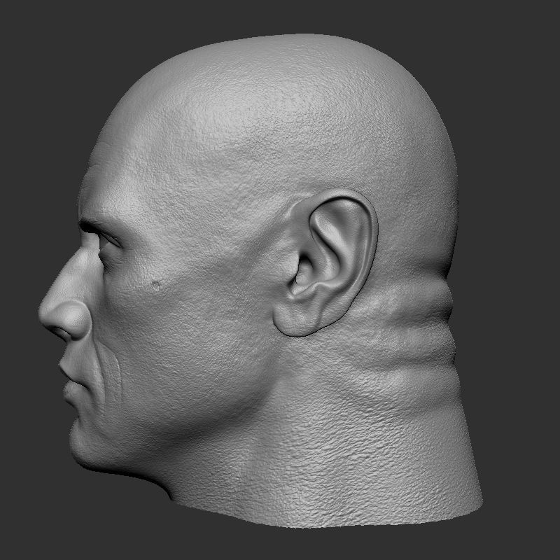 Dwayne johnson 3D print model_10