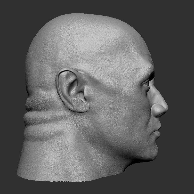 Dwayne johnson 3D print model_6