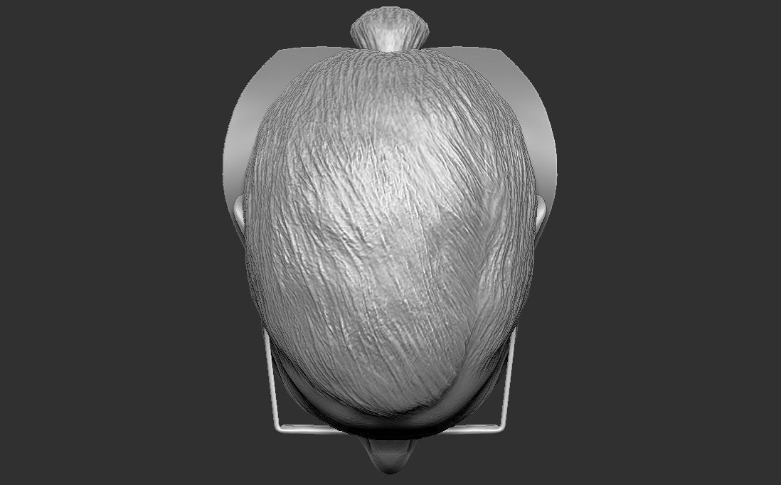 Ruth Bader Ginsburg bust 3D printing ready stl obj formats 3D print model_27