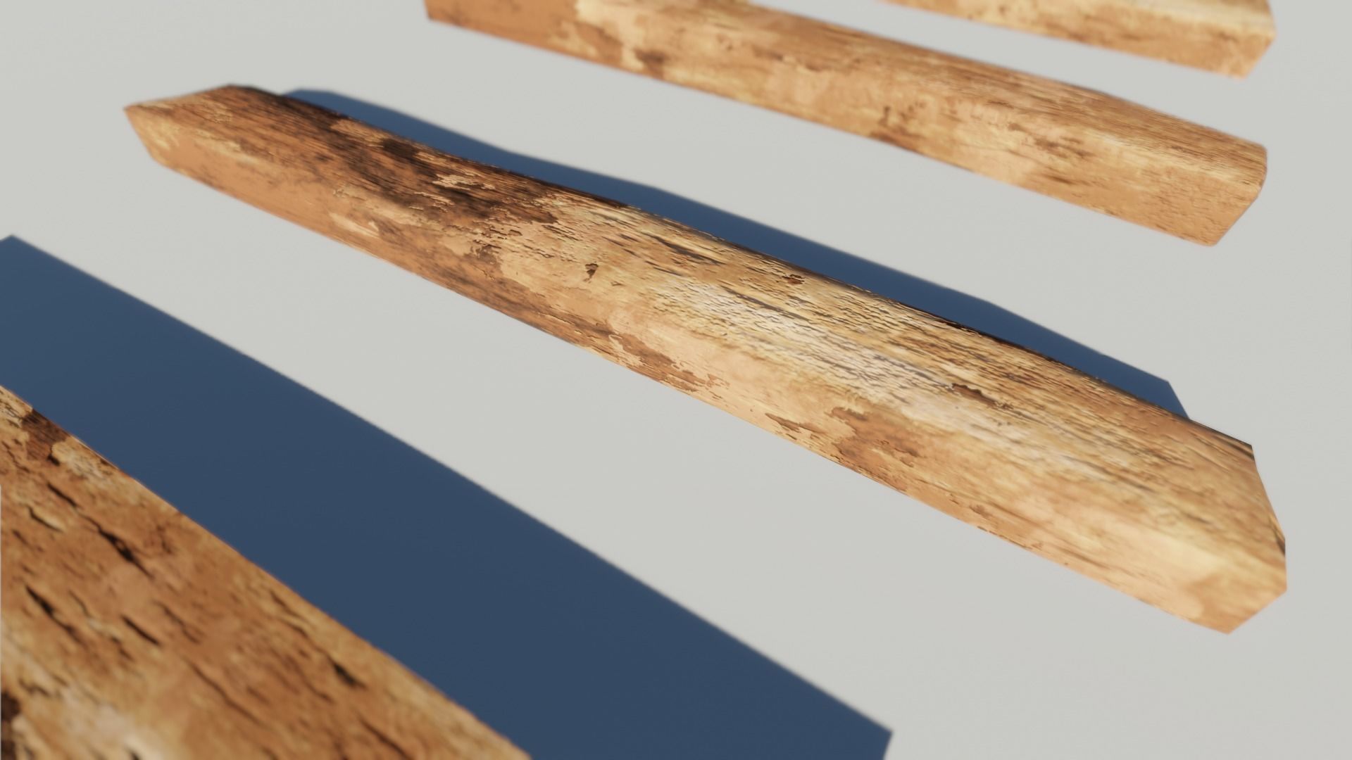 Oak Wood and Bark Texture_8